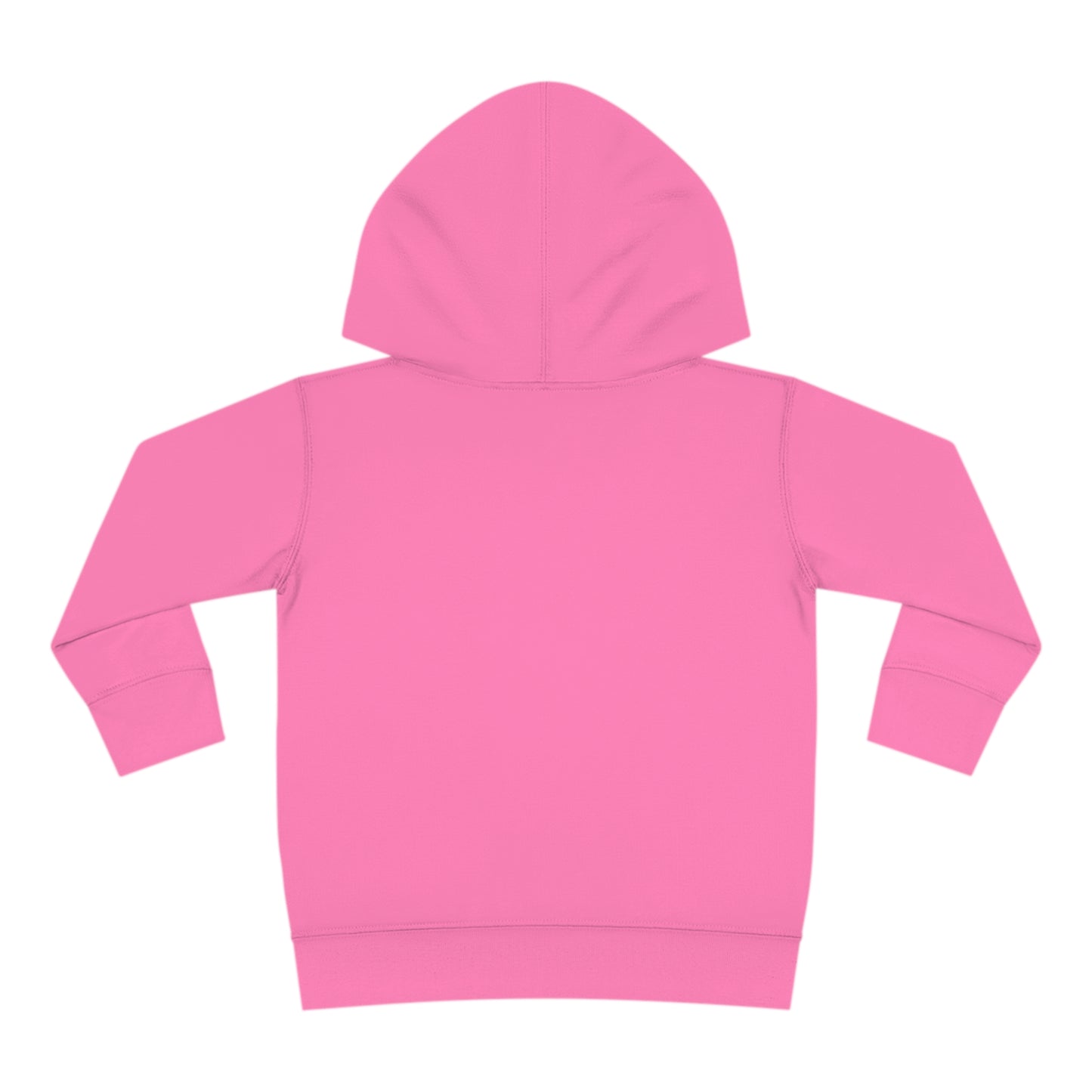 Toddler Pullover Fleece Hoodie Anna the Mother