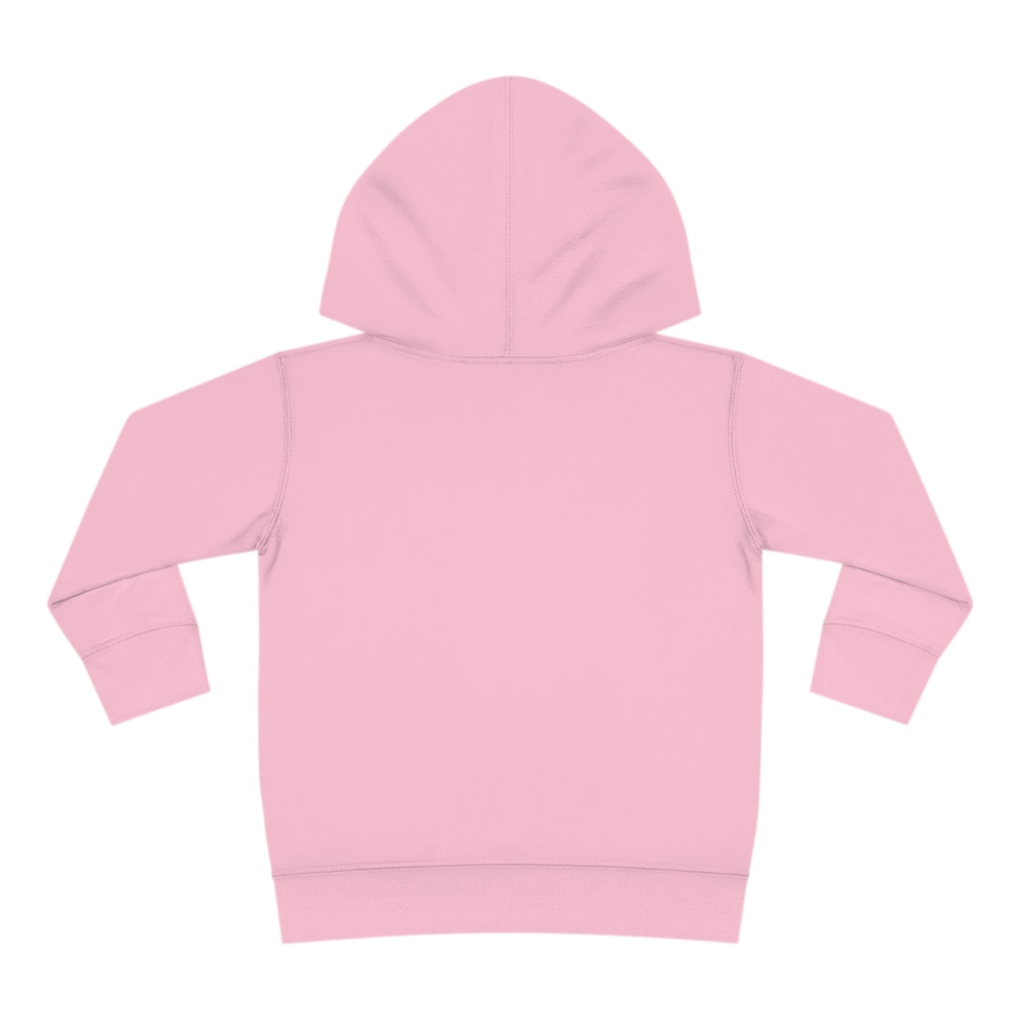 Toddler Pullover Fleece Hoodie Aria the Melodious