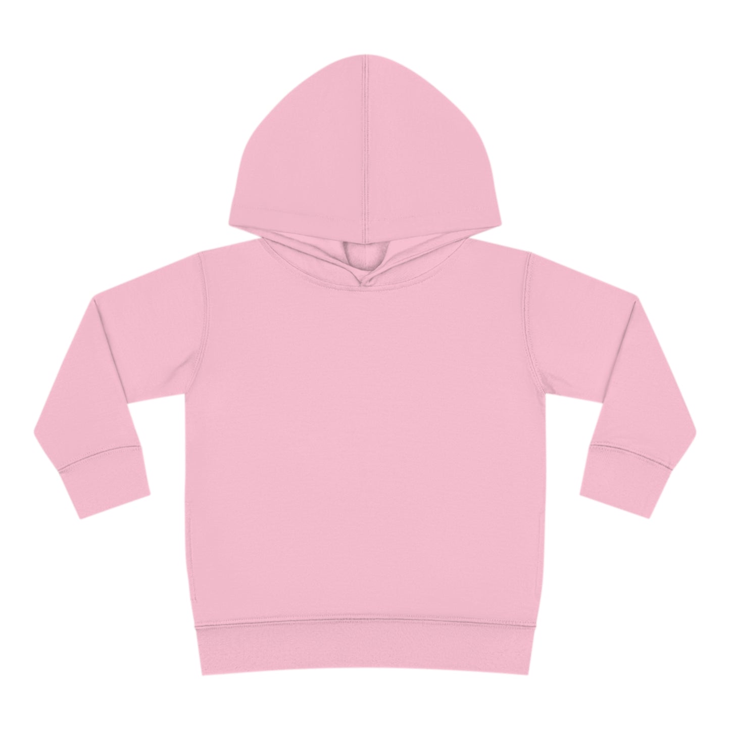 Toddler Pullover Fleece Hoodie Blossom the Botanist