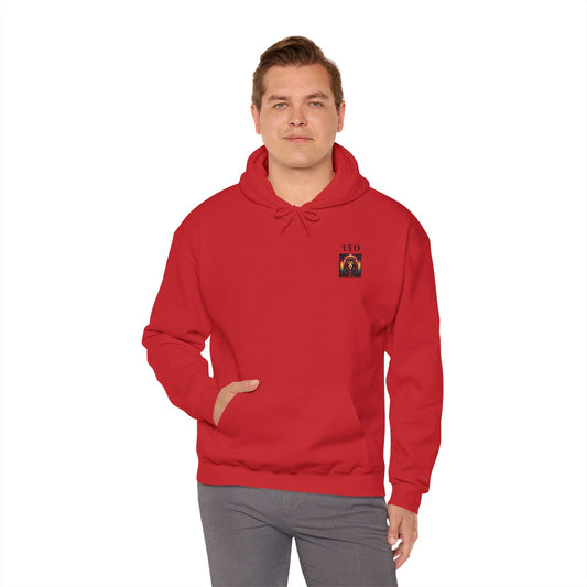 LEO Unisex Heavy Blend™ Hooded Sweatshirt