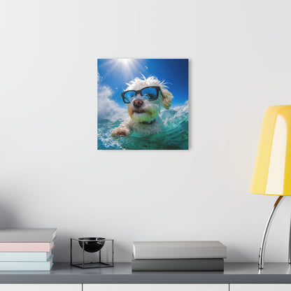 Acrylic Prints (French Cleat Hanging)