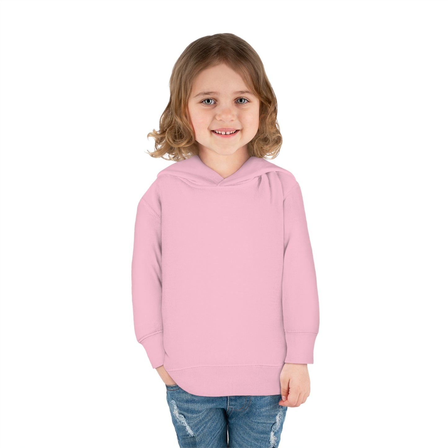 Toddler Pullover Fleece Hoodie Pip the Pathfinder