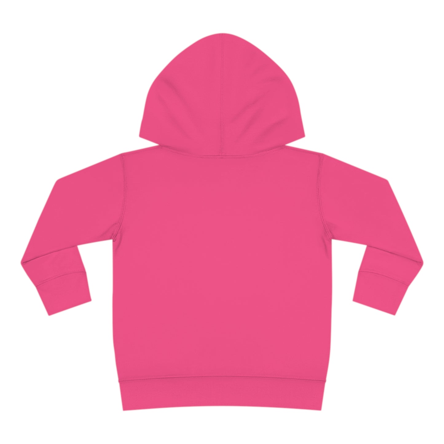 Toddler Pullover Fleece Hoodie Aria the Melodious