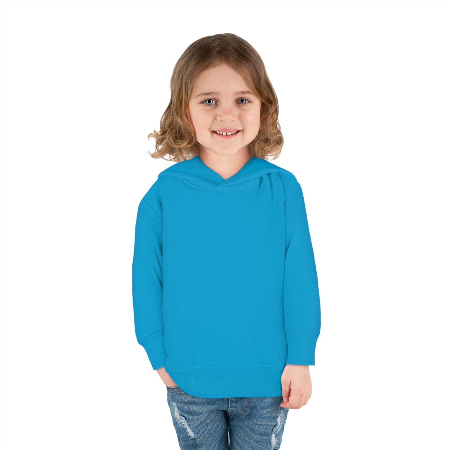 Toddler Pullover Fleece Hoodie Valor the Valiant